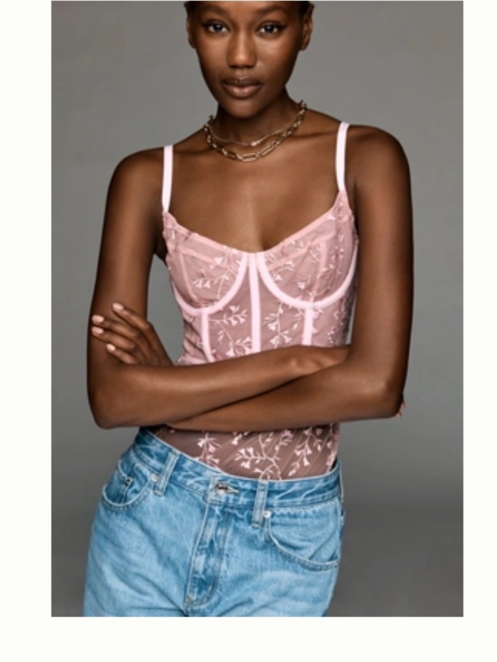Anthropologie Pink Sheer Embroidered Lace Bustier Bodysuit